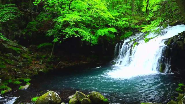 宝山区这些“15分钟社区生活圈”项目荣获2023年度市级优秀案例