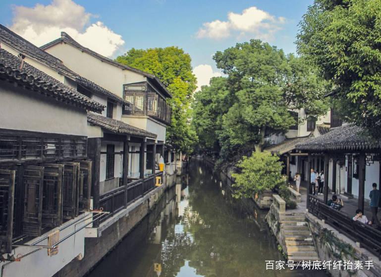 细胞分裂6